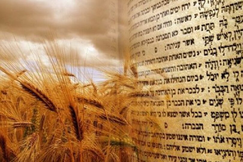 Año en el Calendario Hebreo: Una Perspectiva Cultural y Religiosa