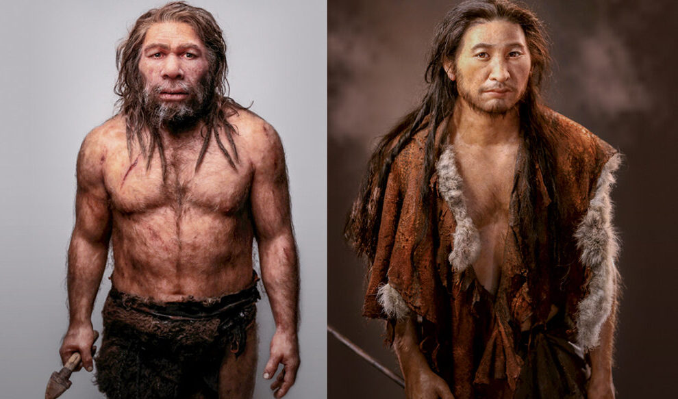 Aspecto físico de los neandertales: Características distintivas y adaptaciones evolutivas.