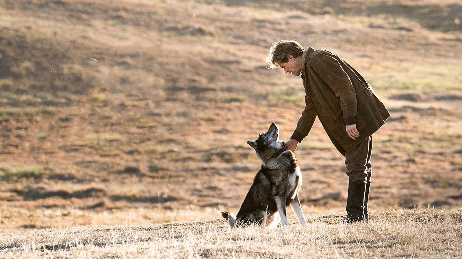 Balto: la película de Disney que narra la increíble historia de un perro de trineo.