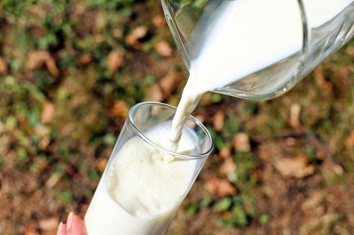 Beneficios y perjuicios de la leche: lo que debes saber