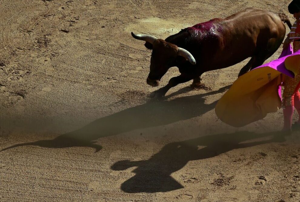 Corridas de toros en España: Tradición cultural y controversia en la actualidad