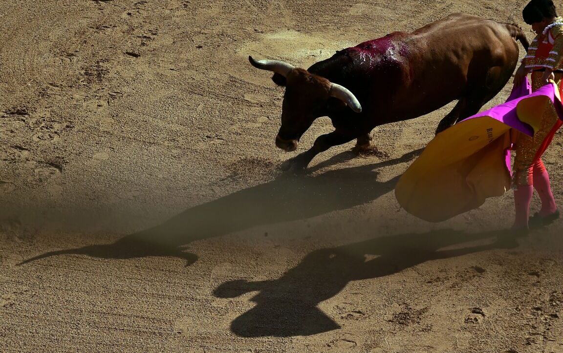 Corridas de toros en España: Tradición cultural y controversia en la actualidad