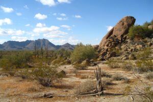 Desiertos en Estados Unidos: Características y ubicación de los principales.