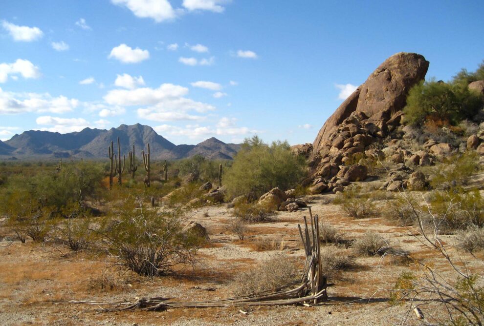 Desiertos en Estados Unidos: Características y ubicación de los principales.