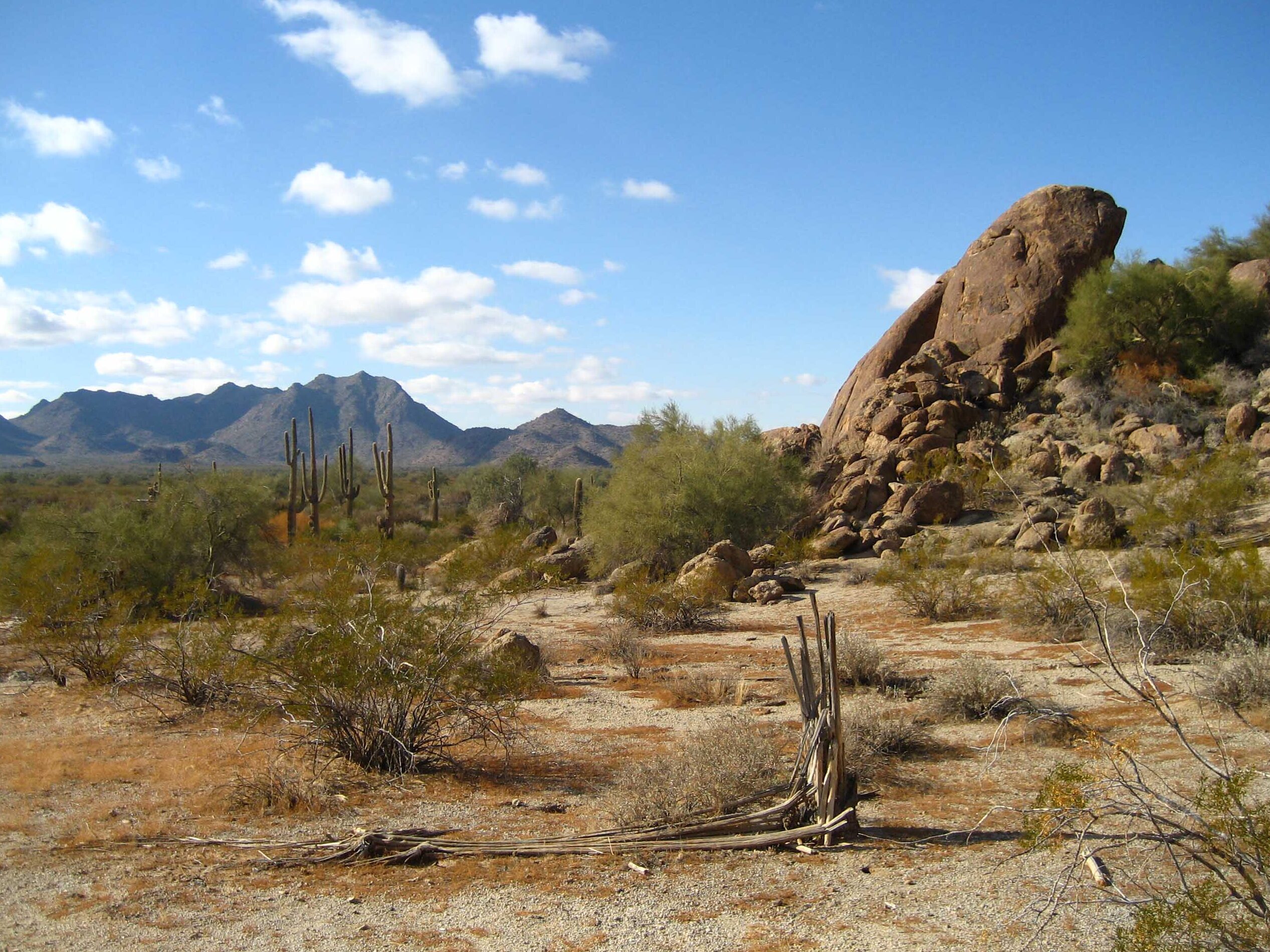 Desiertos en Estados Unidos: Características y ubicación de los principales.