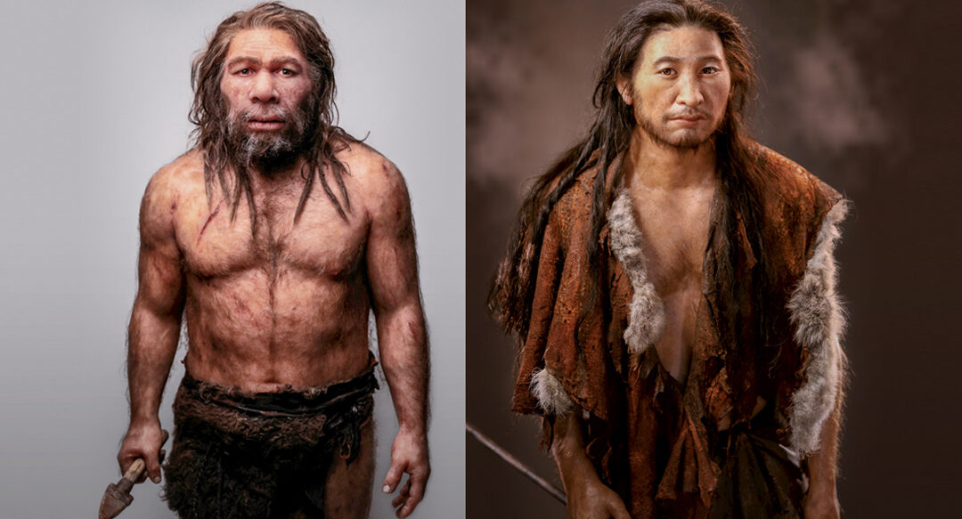 Diferencias entre neandertales y homo sapiens en la evolución humana