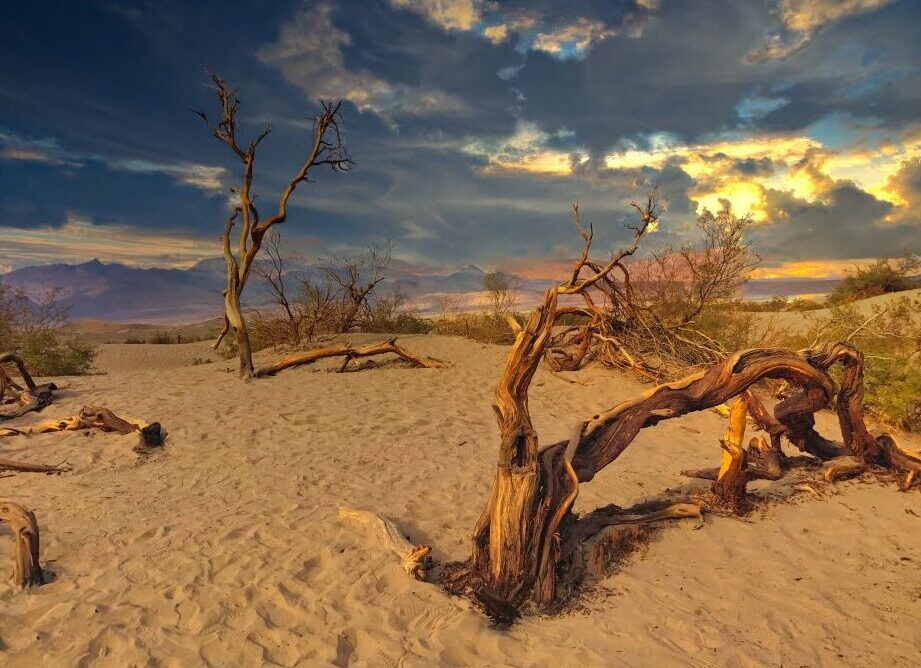 El clima extremo del Valle de la Muerte: El lugar más caluroso y árido de América del Norte