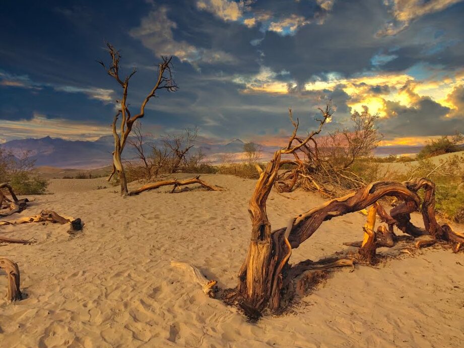 El clima extremo del Valle de la Muerte: El lugar más caluroso y árido de América del Norte