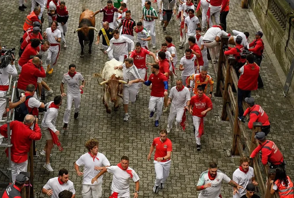 El destino de los toros en San Fermín