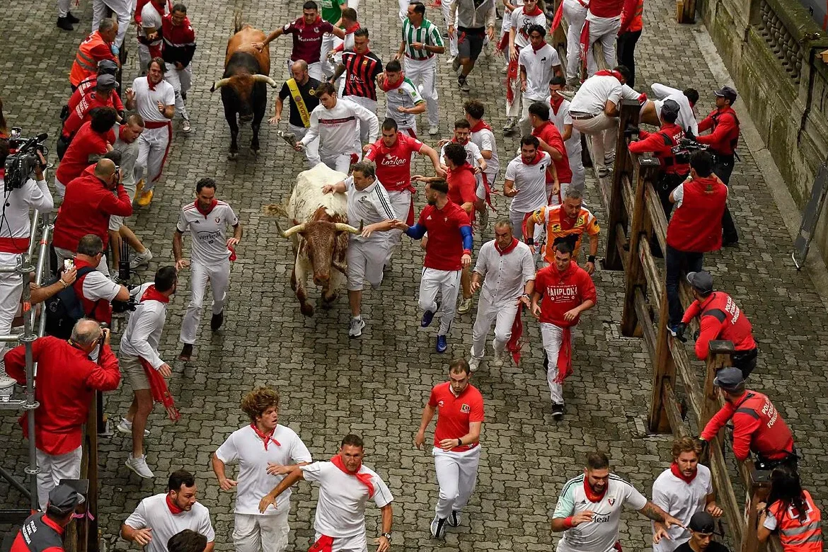 El destino de los toros en San Fermín