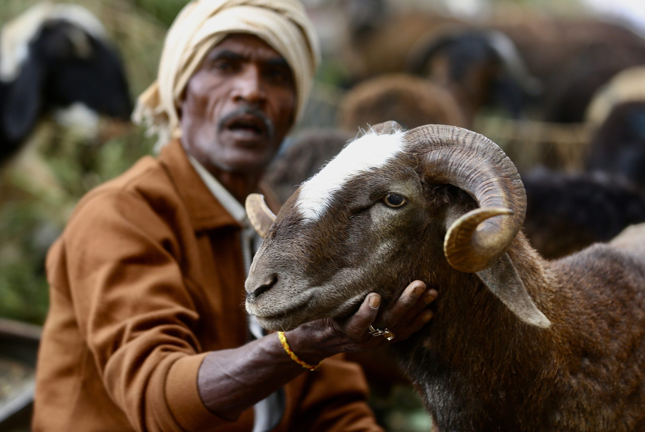 El Eid al-Adha: Celebración del Día del Cordero en la tradición islámica