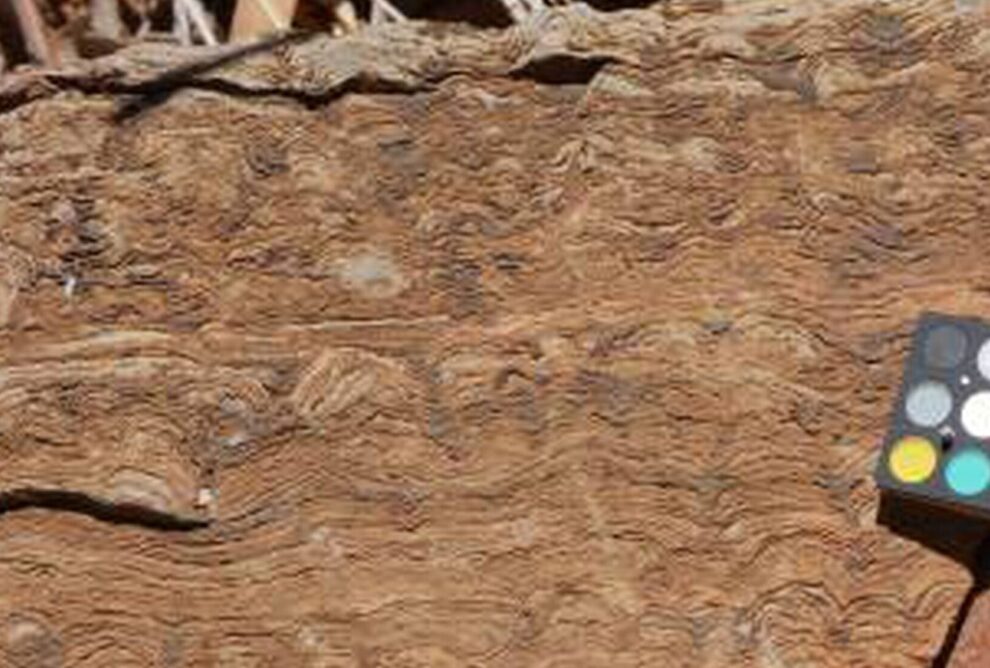 El fósil más antiguo conocido: una ventana al pasado remoto de la Tierra