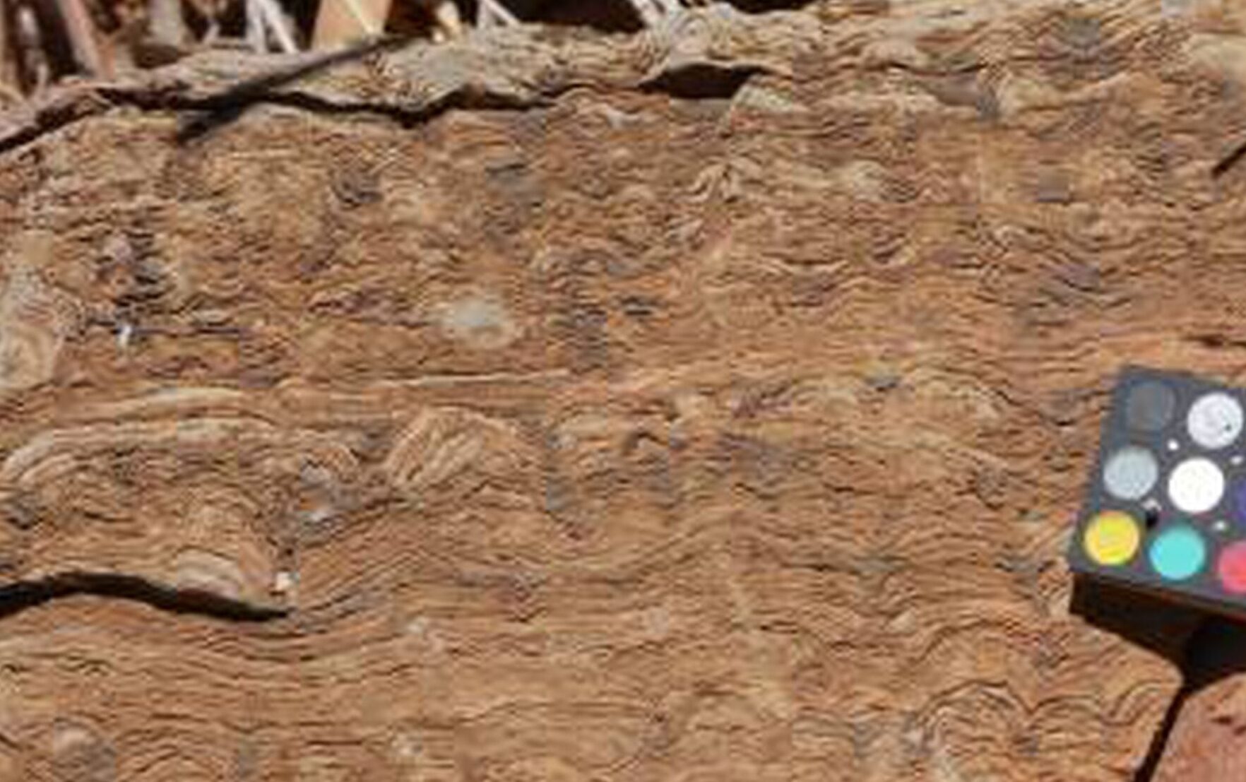 El fósil más antiguo conocido: una ventana al pasado remoto de la Tierra