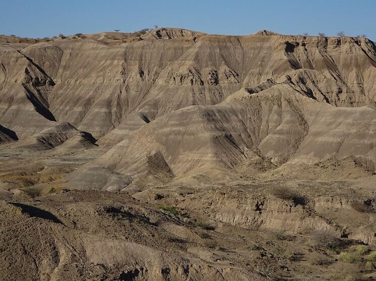El hallazgo de Lucy en Etiopía: un hito en la historia de la paleoantropología