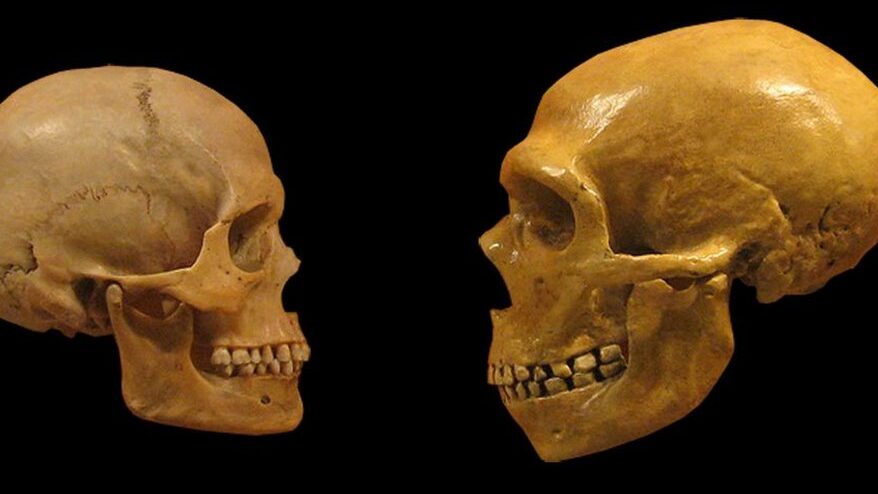 El Hombre de Neandertal: Características y Descubrimientos Arqueológicos