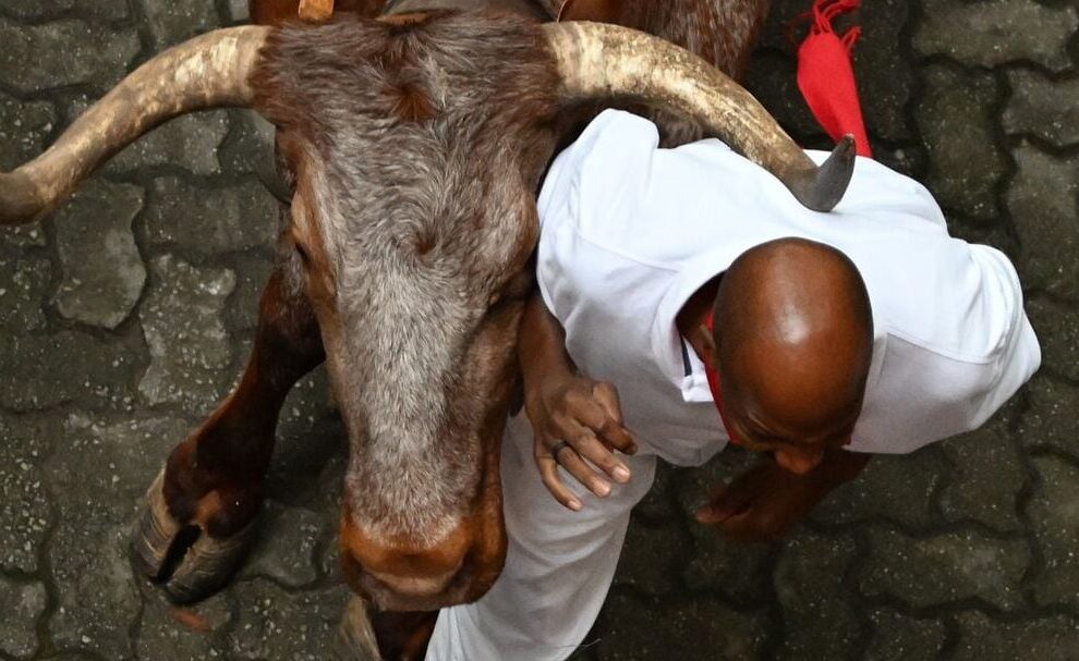 Encierros de San Fermín en la actualidad: tradición y espectáculo taurino.