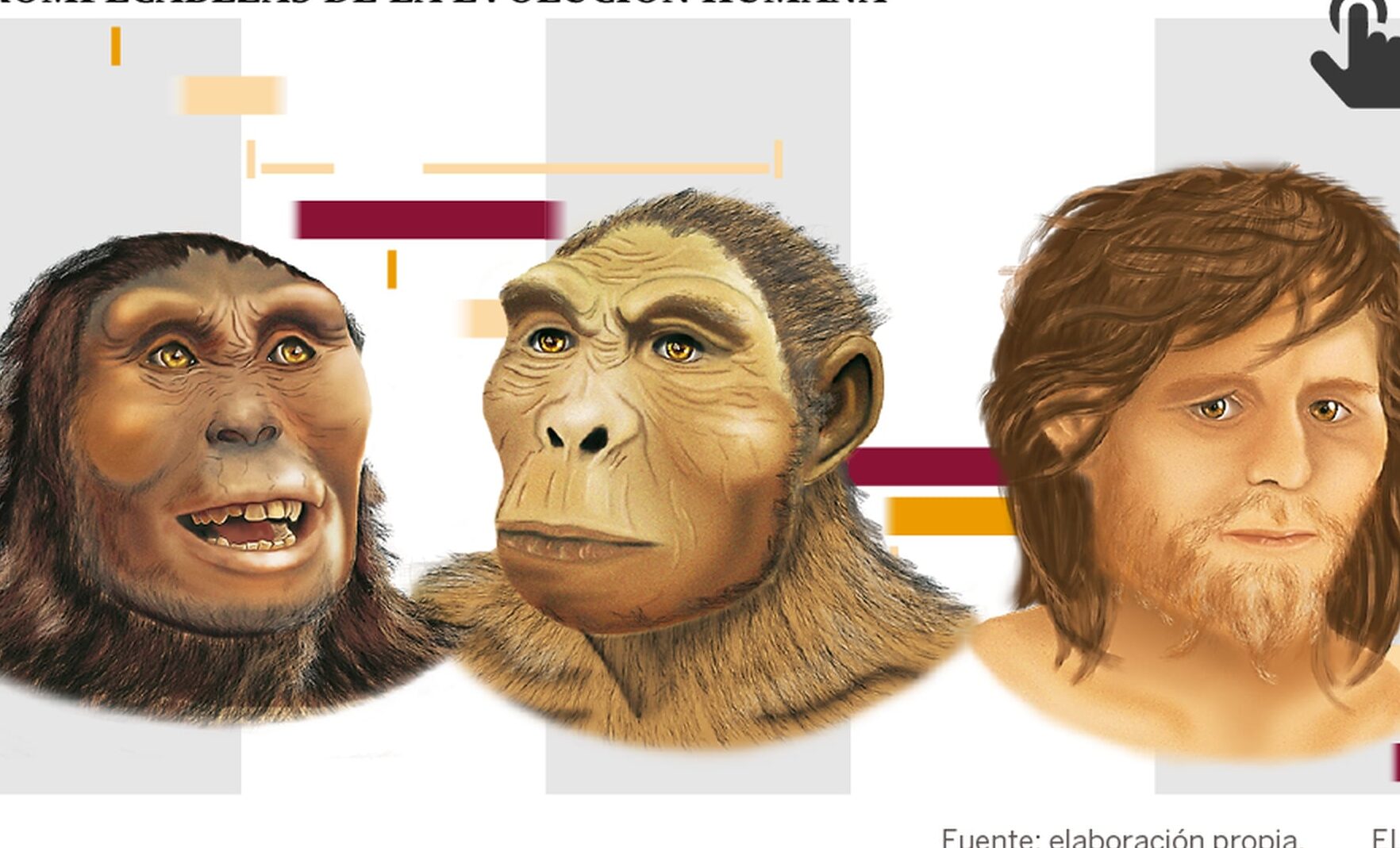 Evolución de la cadena humana: Un recorrido por la historia de la evolución del ser humano.