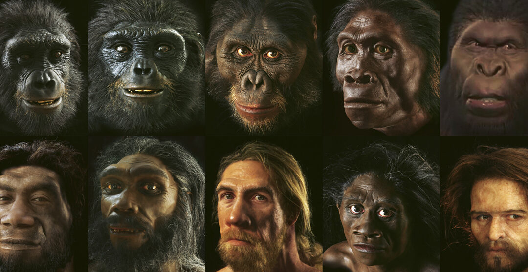Evolución de la Humanidad a lo largo de la Historia