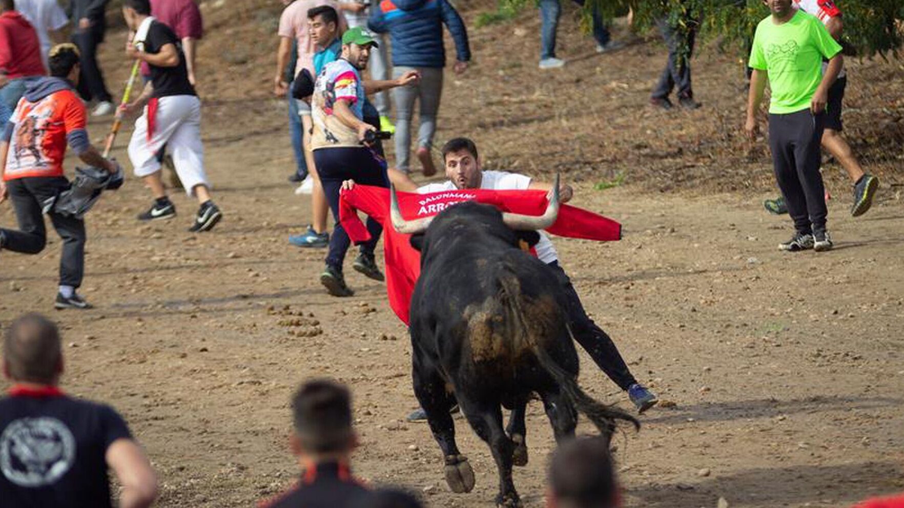 Fiesta de toros en España: Tradición y controversia