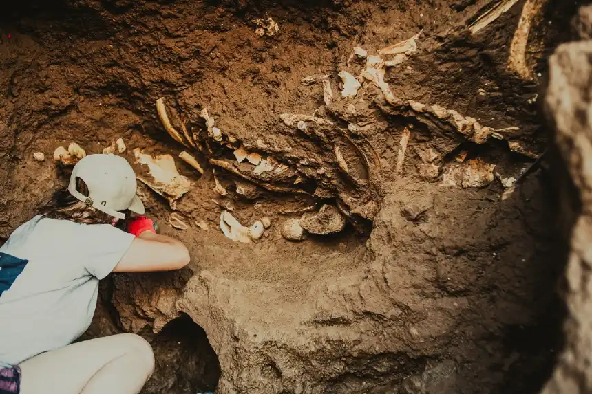 Fotografías auténticas de la prehistoria: Una ventana al pasado.