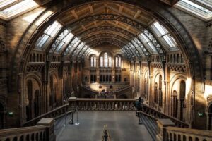 Galería de Arte en Londres: Un Recorrido por la Escena Cultural Británica.
