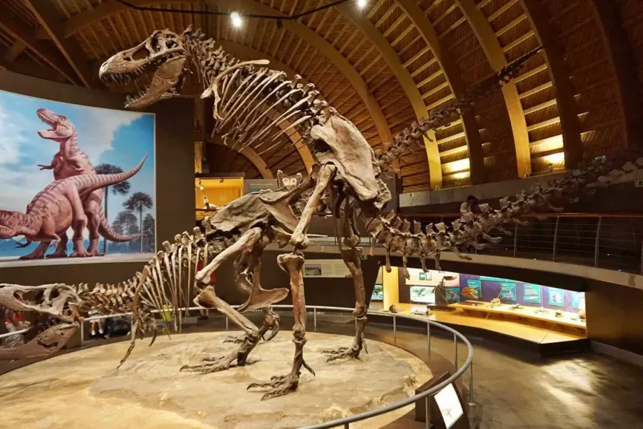 Introducción a los dinosaurios: Características y clasificación de estos seres prehistóricos.