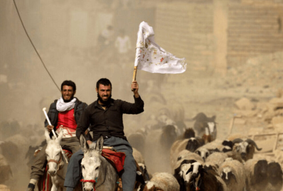 La Bandera Blanca: Significado, Historia y Usos actuales