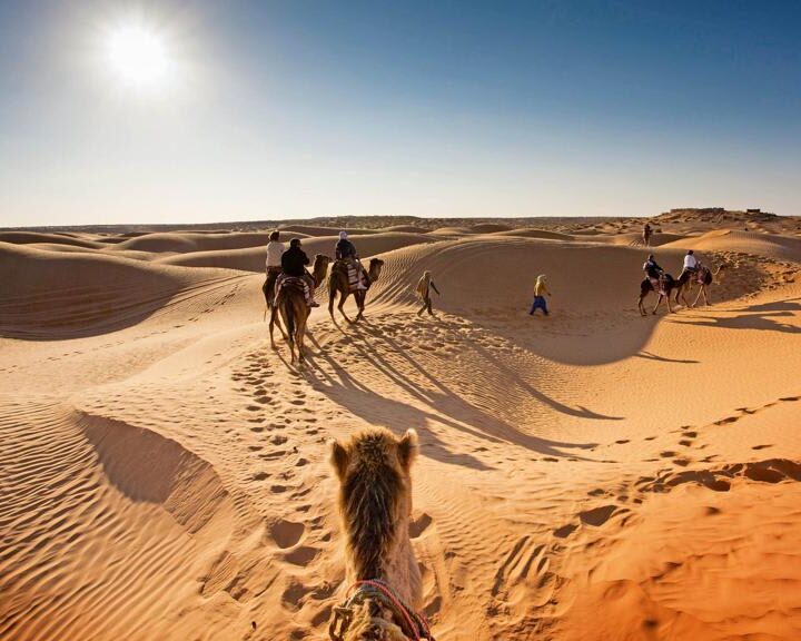 La Ciudad del Sáhara: Un Oasis en el Desierto