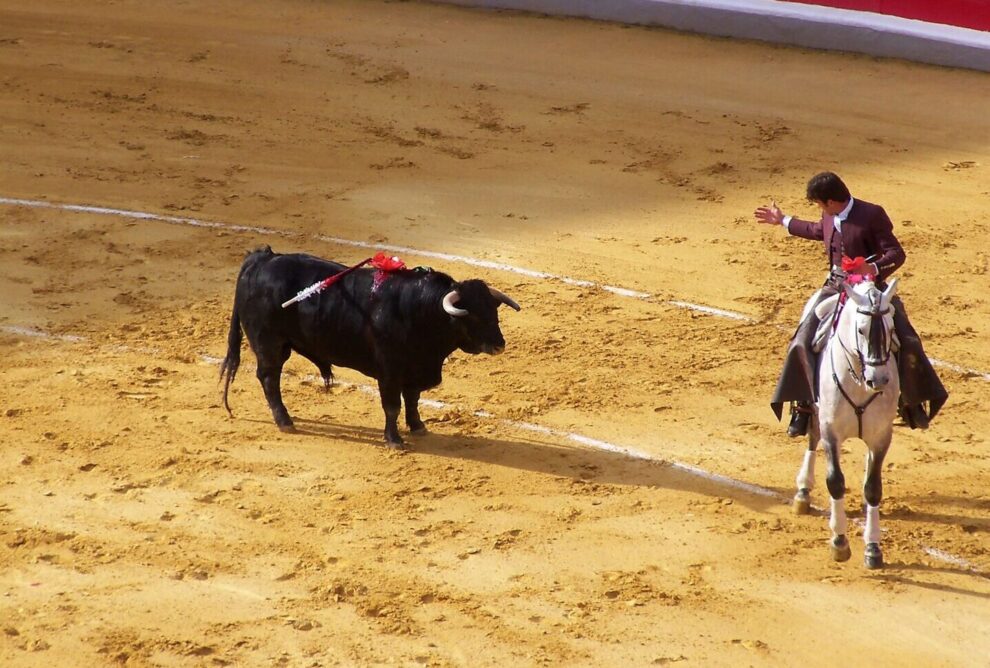 La Corrida de Toros en España: Tradición, Controversia y Debate