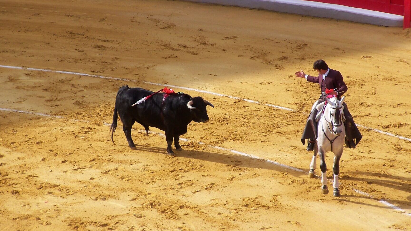 La Corrida de Toros en España: Tradición, Controversia y Debate