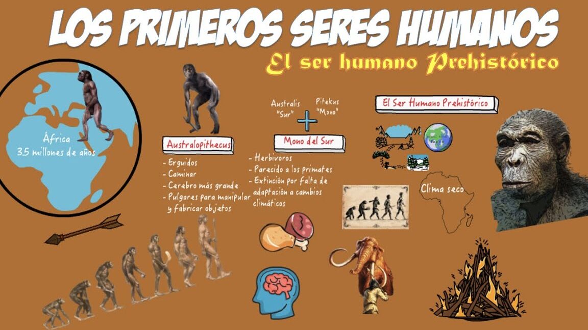 La evolución de los primeros seres humanos en la Tierra
