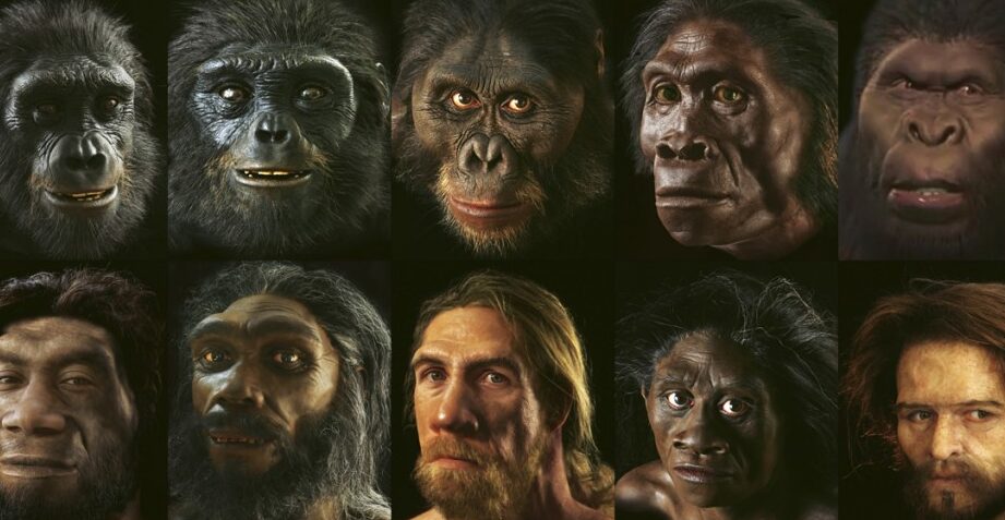 La evolución del Homo sapiens: Desde los orígenes hasta la actualidad
