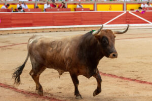 La Feria del Toro de Pamplona 2022: Tradición taurina y celebración festiva.