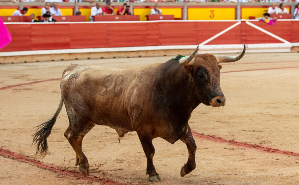 La Feria del Toro de Pamplona 2022: Tradición taurina y celebración festiva.
