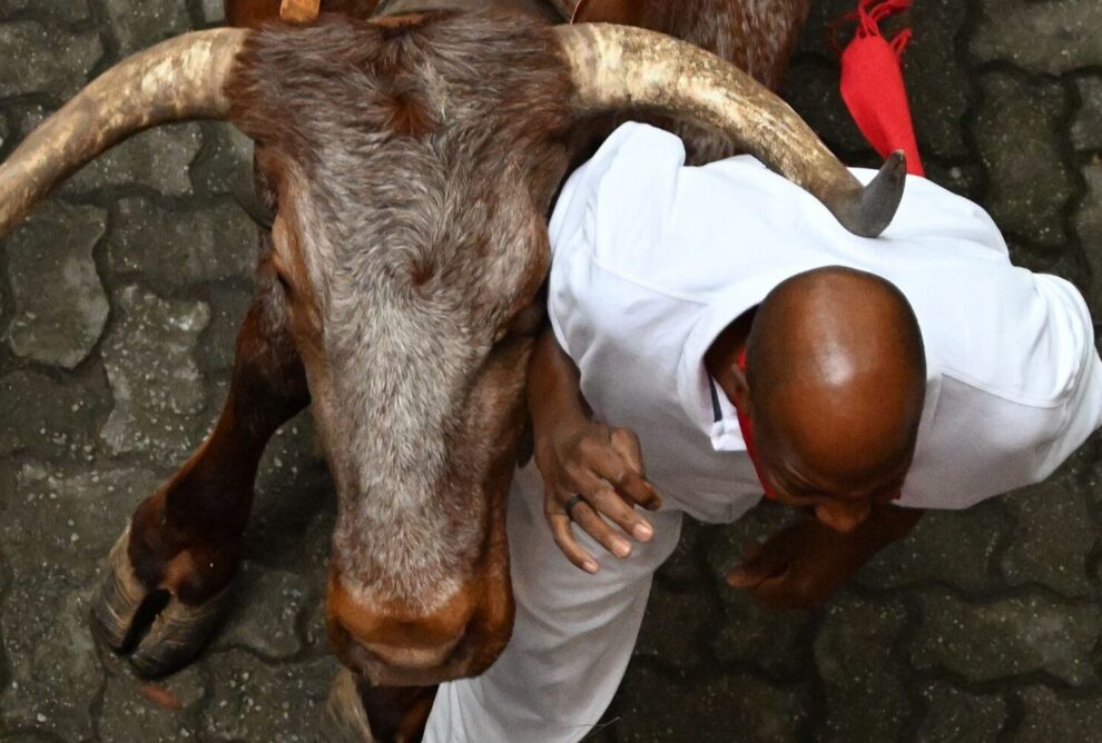 La ganadería en San Fermín: tradición y espectáculo.