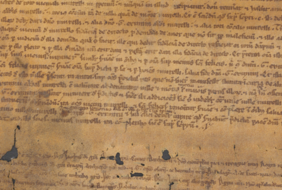 La importancia de la opinión en pergamino en la historia medieval.
