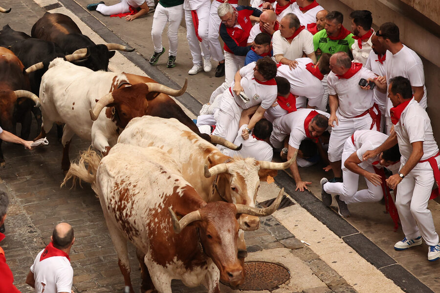 La relación entre la ganadería y los encierros de San Fermín