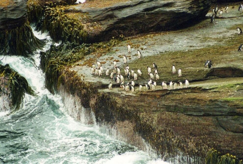 Localización geográfica de las Islas Malvinas