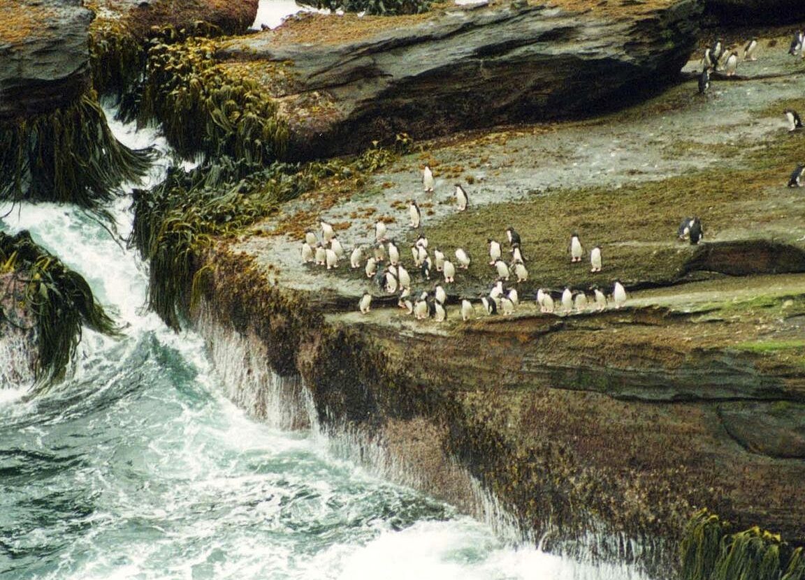 Localización geográfica de las Islas Malvinas