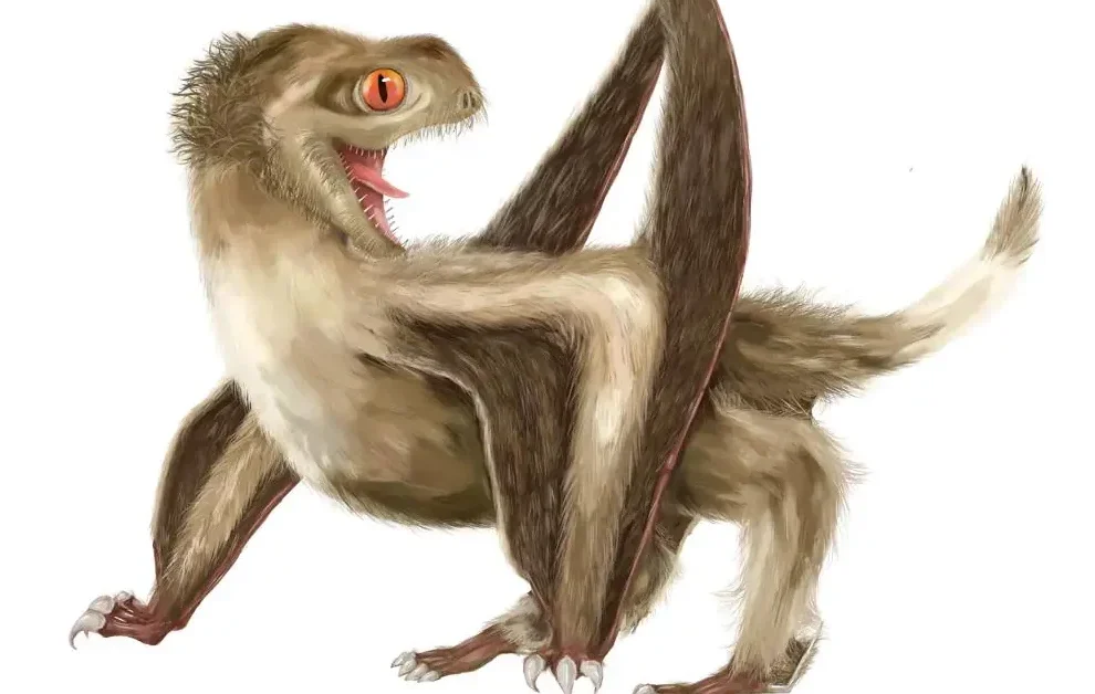 Los dinosaurios: evidencias de que tenían plumas