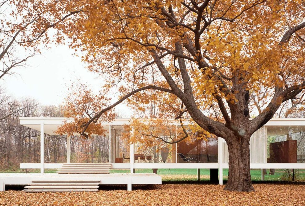 Ludwig Mies van der Rohe: Arquitectura moderna y minimalismo.