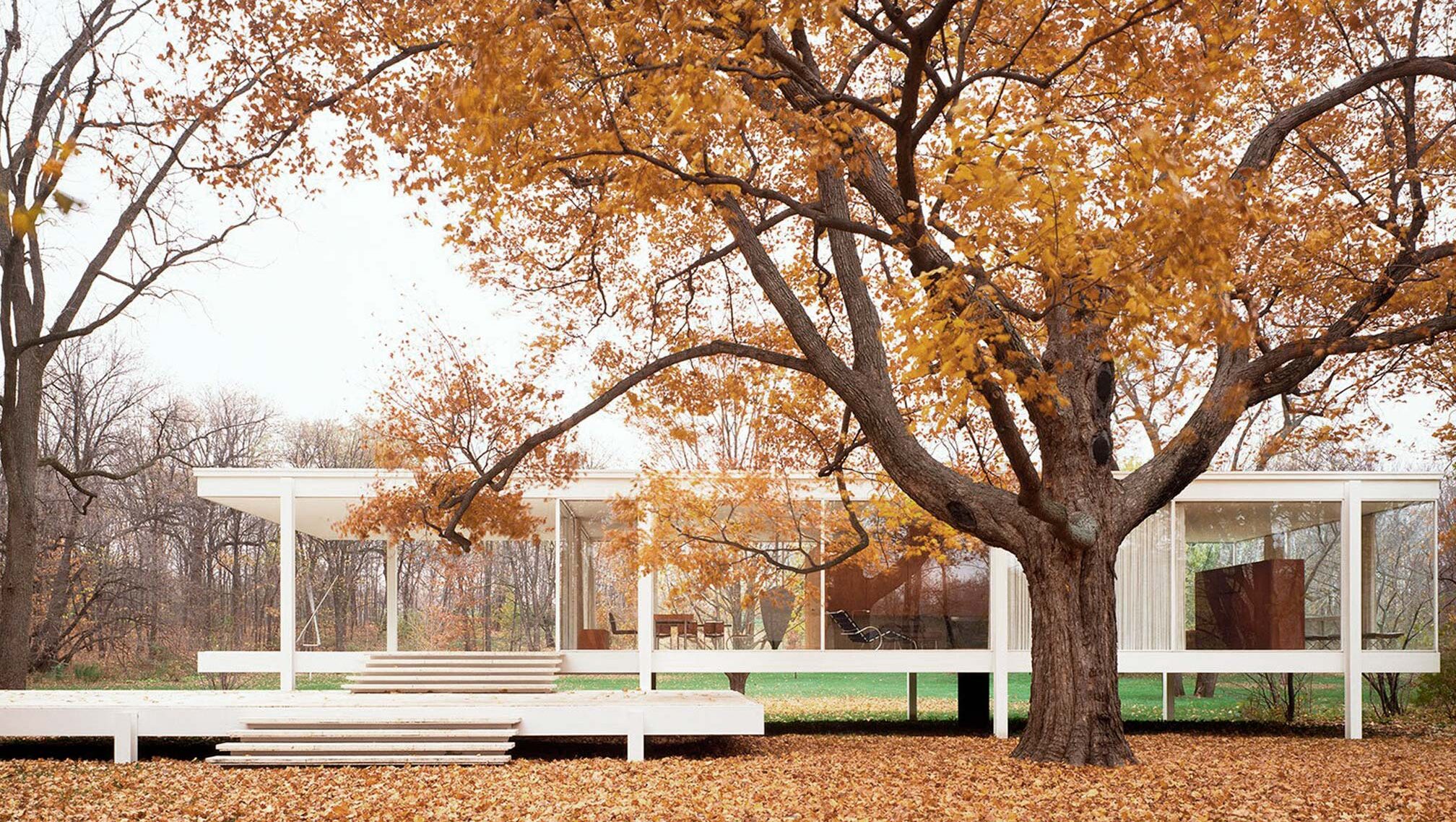 Ludwig Mies van der Rohe: Arquitectura moderna y minimalismo.