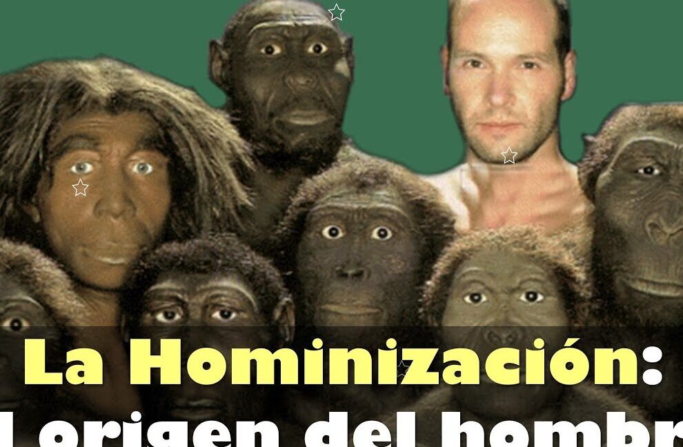Significado de la hominización: Proceso de Evolución Humana