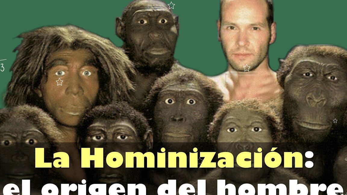 Significado de la hominización: Proceso de Evolución Humana