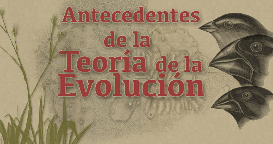 Teorías de la evolución: Un recorrido por las ideas que explican la diversidad de la vida.