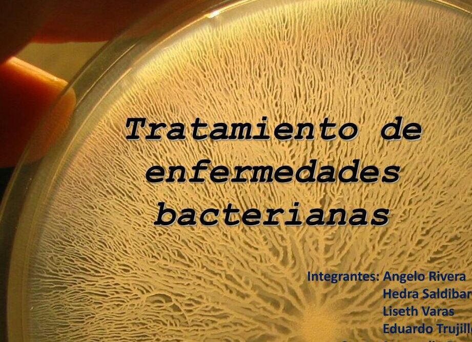 Tifus y fiebre tifoidea: diferencias, síntomas y tratamiento