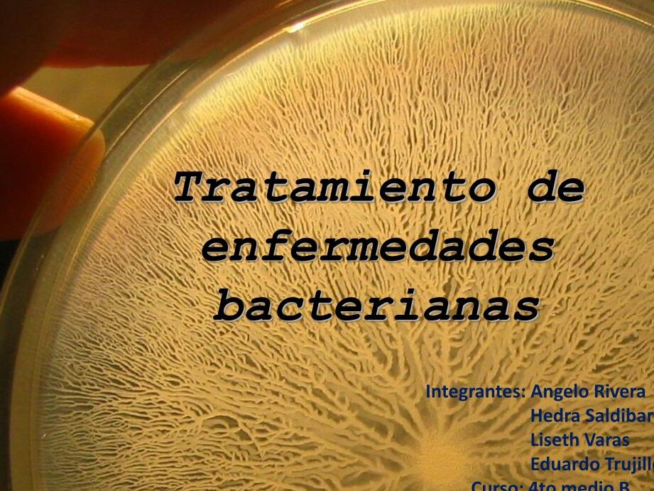 Tifus y fiebre tifoidea: diferencias, síntomas y tratamiento