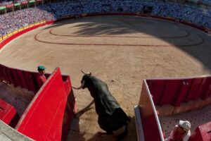 Tragedias mortales en los Sanfermines: un análisis de los riesgos y medidas de seguridad.