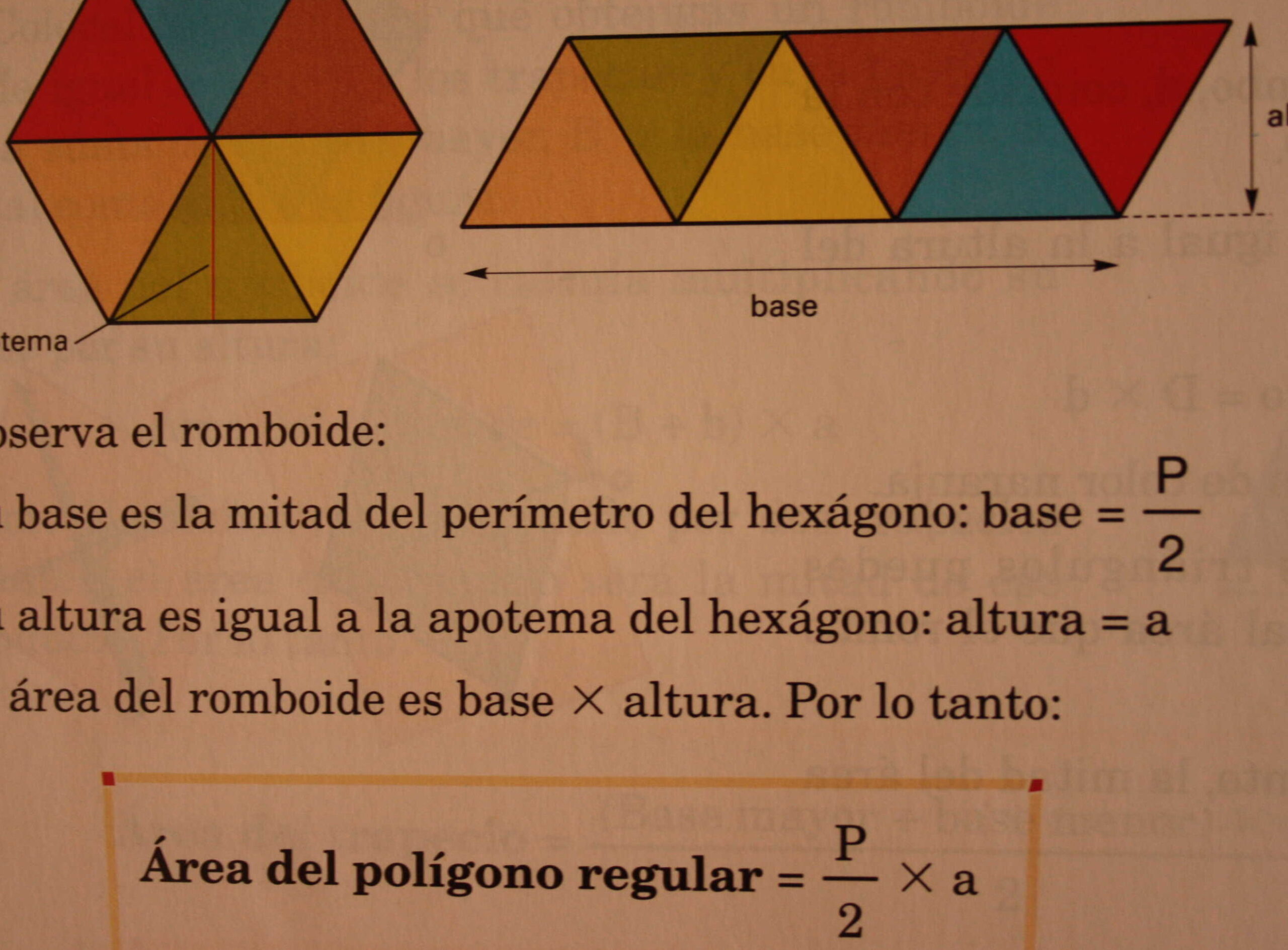 Triángulos: Conceptos Básicos y Propiedades Esenciales